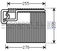 70-OLV481