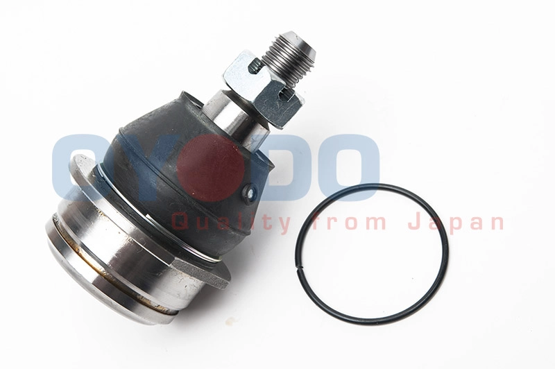 10Z6003-OYO