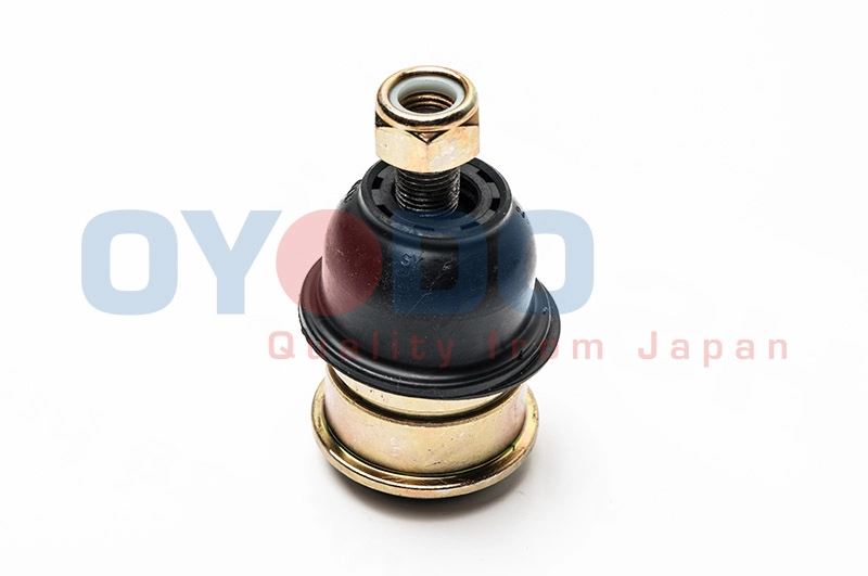10Z0511-OYO