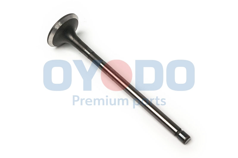 80M0319-OYO