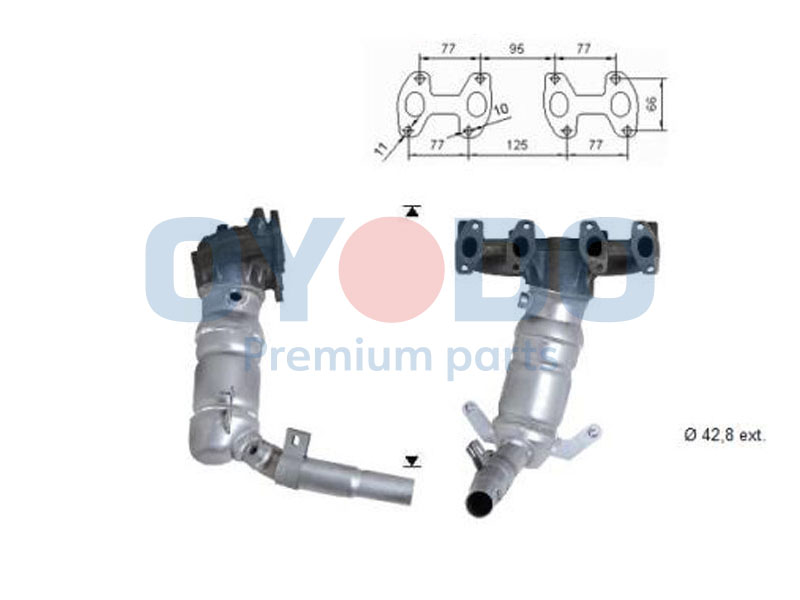 10N0081-OYO