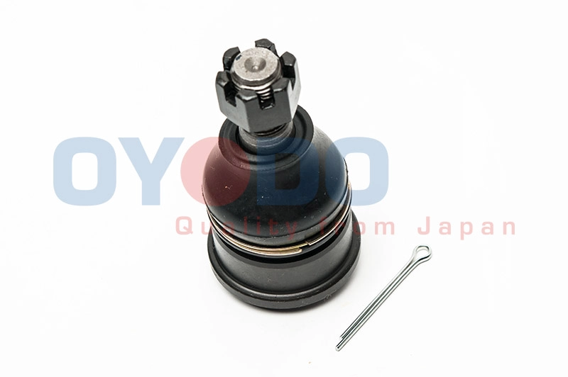 10Z1019-OYO