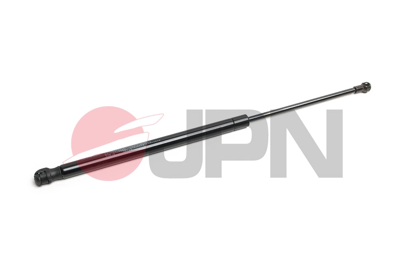 10A1019-JPN