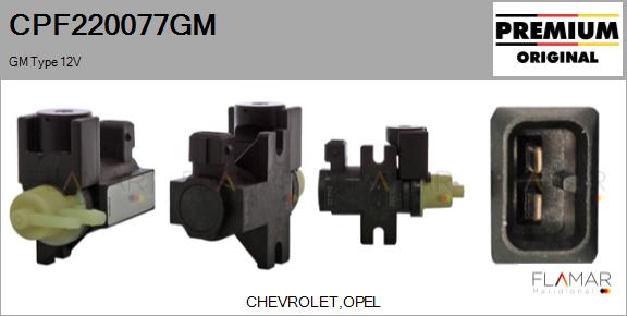 CPF220077GM