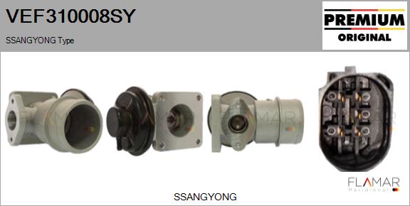 VEF310008SY