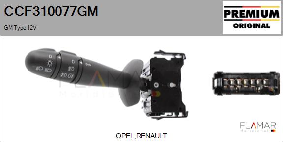CCF310077GM