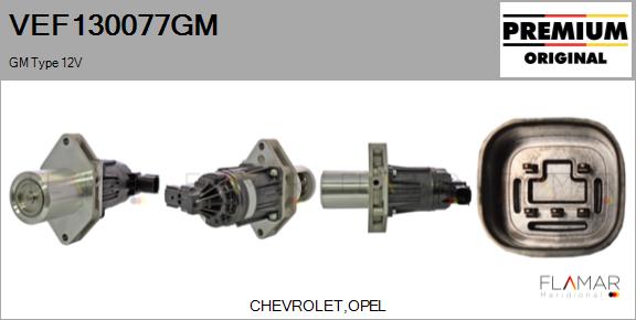 VEF130077GM