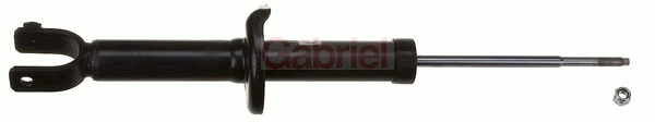 G55794
