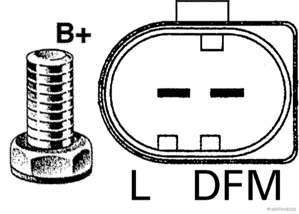 32042830