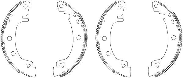 MSK213