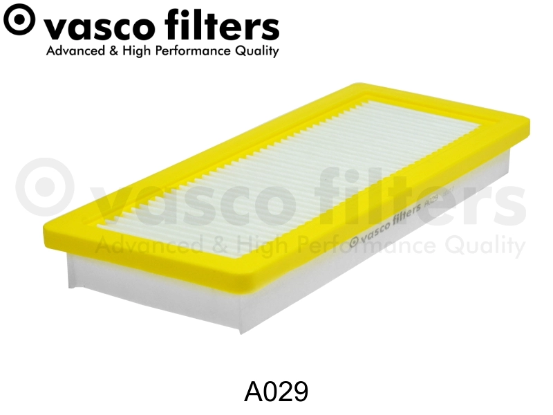 A029