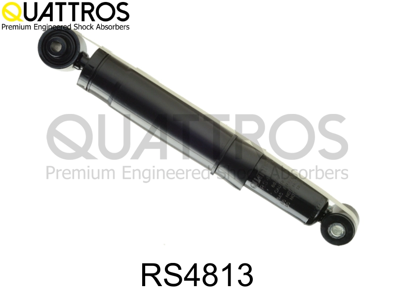RS4813