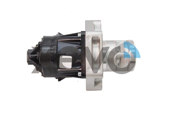 XEG9081