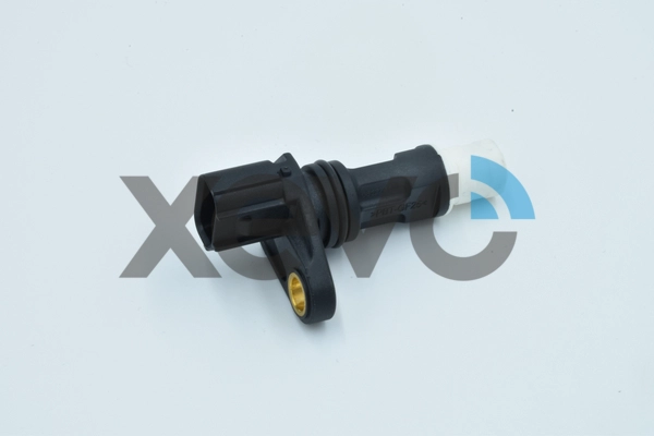 XCS6521