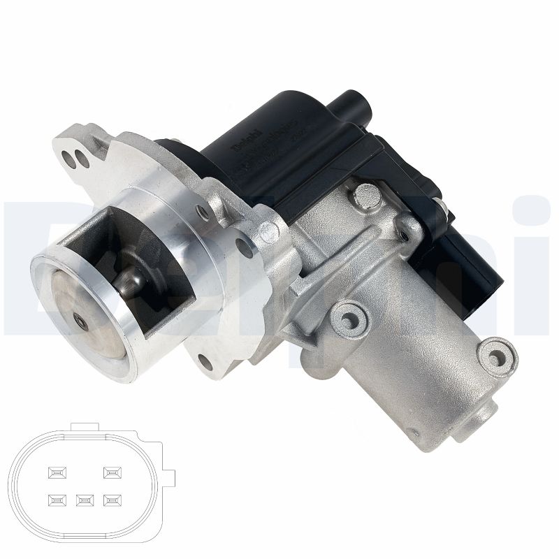 EG10622-12B1