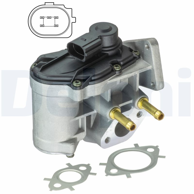 EG10411-15B1