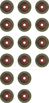 55574059